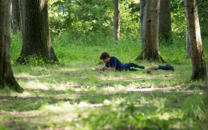 A person lays in the grass of a wooded area and appears to be journaling. 